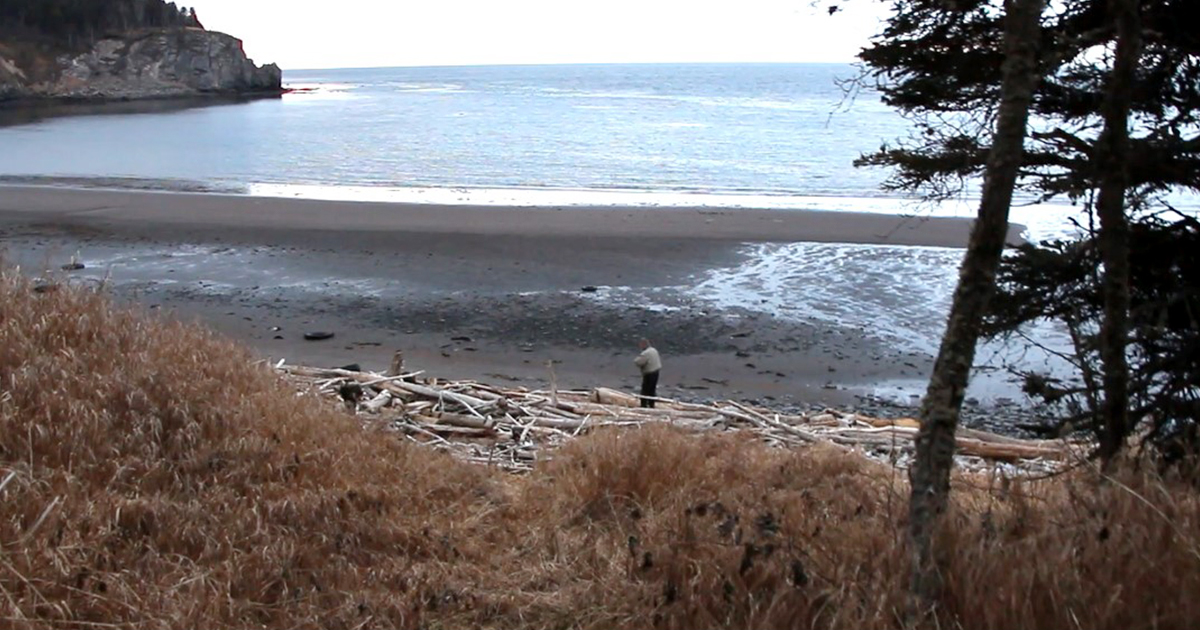 手前に草木の茂った砂浜と海